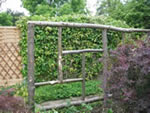 Rustic trellis